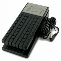 Roland EV 5