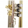 Bach TR-501 Student