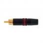 Neutrik Rean NYS 373-2