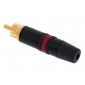Neutrik Rean NYS 373-2