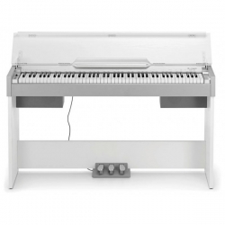 TH DP-33 WH