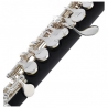 TH PFL-200 PICCOLO FLUTE