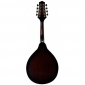 FLAME MD048