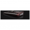 KORG PA-1000