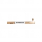 Millenium H2B Nuc American