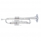 Yamaha YTR-8310 ZS