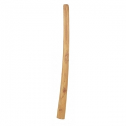 TH KIDS DIDGERIDOO