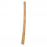 TH KIDS DIDGERIDOO