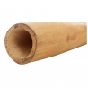 TH KIDS DIDGERIDOO