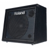 ROLAND KC-200