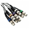 THE SSSNAKE FXP 8030
