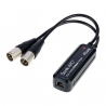 DANTE AVIO ANALOG OUTPUT ADAPTER 0X2