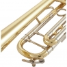 BACH 180-25 L BB