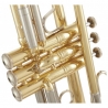 BACH 180-25 L BB