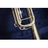Trompeta Parrot 6416 L