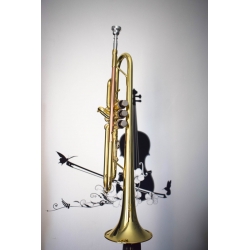 Parrot 6416 L