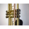 Trompeta Parrot 6416 L