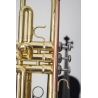 Trompeta Parrot 6416 L