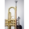 Trompeta Parrot 6416 L