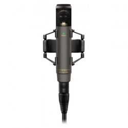 SENNHEISER MKH 800 TWIN NX