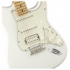 FENDER PLAYER SERIES STRAT HSS MN PWT
