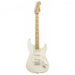 Fender Player Series Strat MN PWT