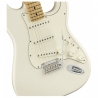 FENDER PLAYER SERIES STRAT MN PWT
