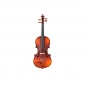 Thomann Classic Violinset 1/2