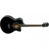 WASHBURN EA12 B-A-U