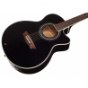 WASHBURN EA12 B-A-U