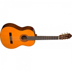 WASHBURN C5-WSH-A-U