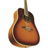 EKO ONE D VINTAGE BURST
