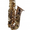 FLAME PRO SP 1011 RG ALTO SAX