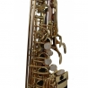 FLAME PRO SP 1011 RG ALTO SAX