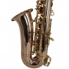 FLAME PRO SP 1011 RG ALTO SAX