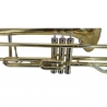 FLAME PRO TB 9003 G ALTO TROMBONE