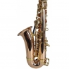 FLAME PRO SP 1011G ALTO SAX