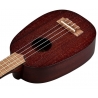 Kala Makala Pineapple Soprano