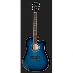 HARLEY BENTON D-120CE TB