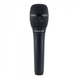 AUDIO-TECHNICA AT2010