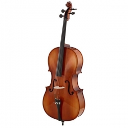 ROTH & JUNIUS EUROPE 4/4 VIOLONCEL STUDENT