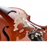ROTH & JUNIUS EUROPE 4/4 VIOLONCEL STUDENT