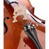 ROTH & JUNIUS EUROPE 4/4 VIOLONCEL STUDENT
