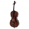 ROTH & JUNIUS EUROPE 4/4 AS VIOLONCEL STUDENT