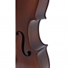 ROTH & JUNIUS EUROPE 4/4 AS VIOLONCEL STUDENT