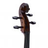 ROTH & JUNIUS EUROPE 4/4 AS VIOLONCEL STUDENT