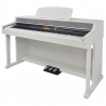 THOMANN DP-95 WH ARRANGER SET