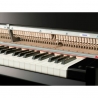 YAMAHA N-3X AVANT GRAND