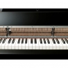 YAMAHA N-3X AVANT GRAND