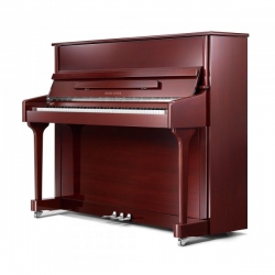 PEARL RIVER EU118S/A118